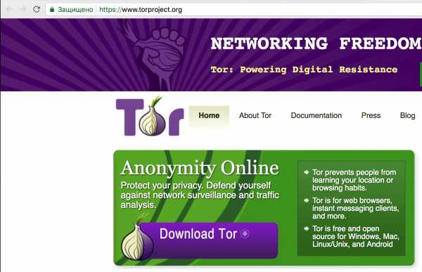 Кракен тор kr2web in