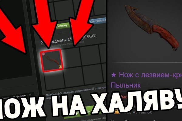 Kraken 19 at