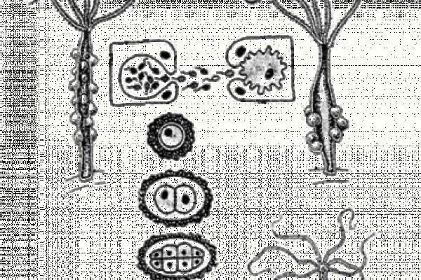 Кракен вход krakens13 at