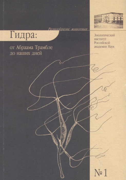 Кракен зеркало 2025