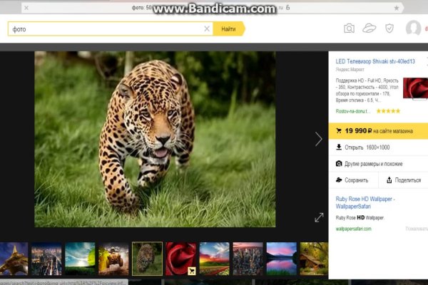 Сайт kraken darknet