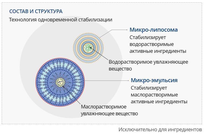 Ссылка на кракен в тор браузере